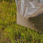 Sjeme za travu je temelj svakog lijepog travnjaka sjeme za travu 10 kg cijena